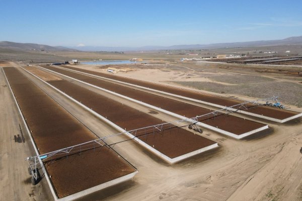 <p>Biofiltro levanta US$ 35 millones: firma respaldada por Sandro Solari y el presidente de la UAI proyecta expansión en EEUU y Europa</p>