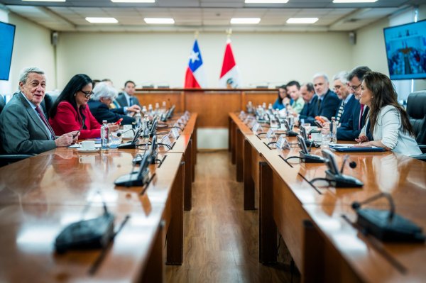 <p>Tras comité binacional, Chile y Perú acordaron en avanzar en la implementación de patrullajes conjuntos, verificación migratoria y una próxima reunión en Tacna</p>