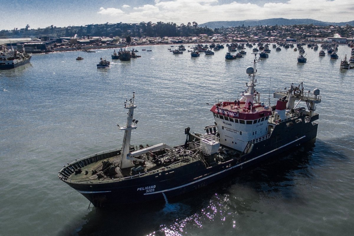 <p>Piden calificarlo como “asociación ilícita”: Pescadores Industriales del Biobío advierten que tras robos de jurel en alta mar hay grupos organizados y con recursos</p>