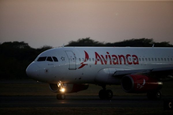 <p>Avianca finaliza actualización de software en flota de Airbus A320 y retoma normalidad</p>