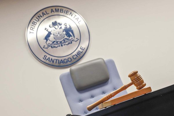 <p>Foto: Julio Castro</p>