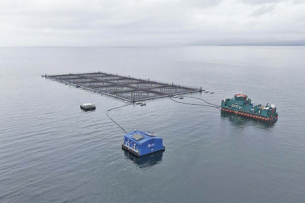 <p>Los equipos de Oxzo en operación.</p>