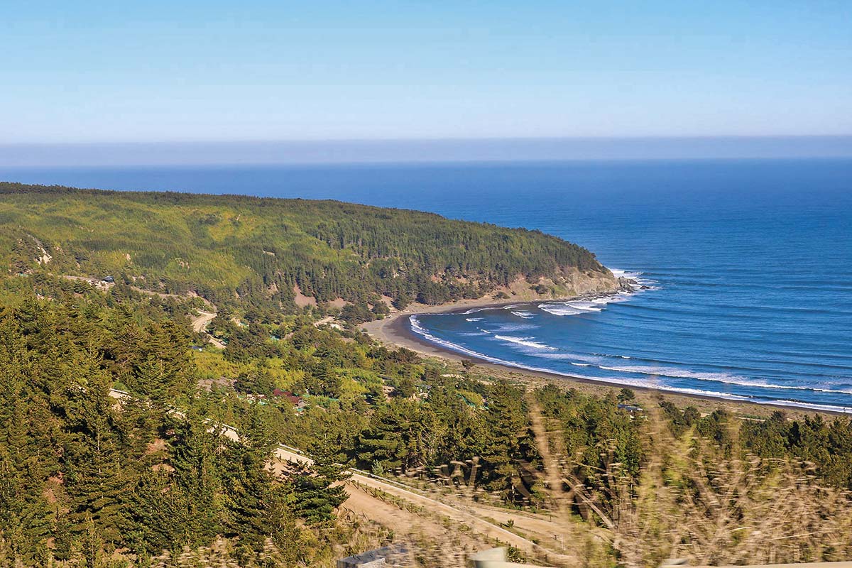 <p>¿Hasta la Suprema? Las opciones de Inmobiliaria Puertecillo para destrabar millonario proyecto en Litueche</p>