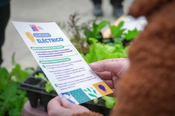 <p>Subsidio eléctrico suma 84 mil nuevas postulaciones y Gobierno presiona por extenderlo en 2026</p>