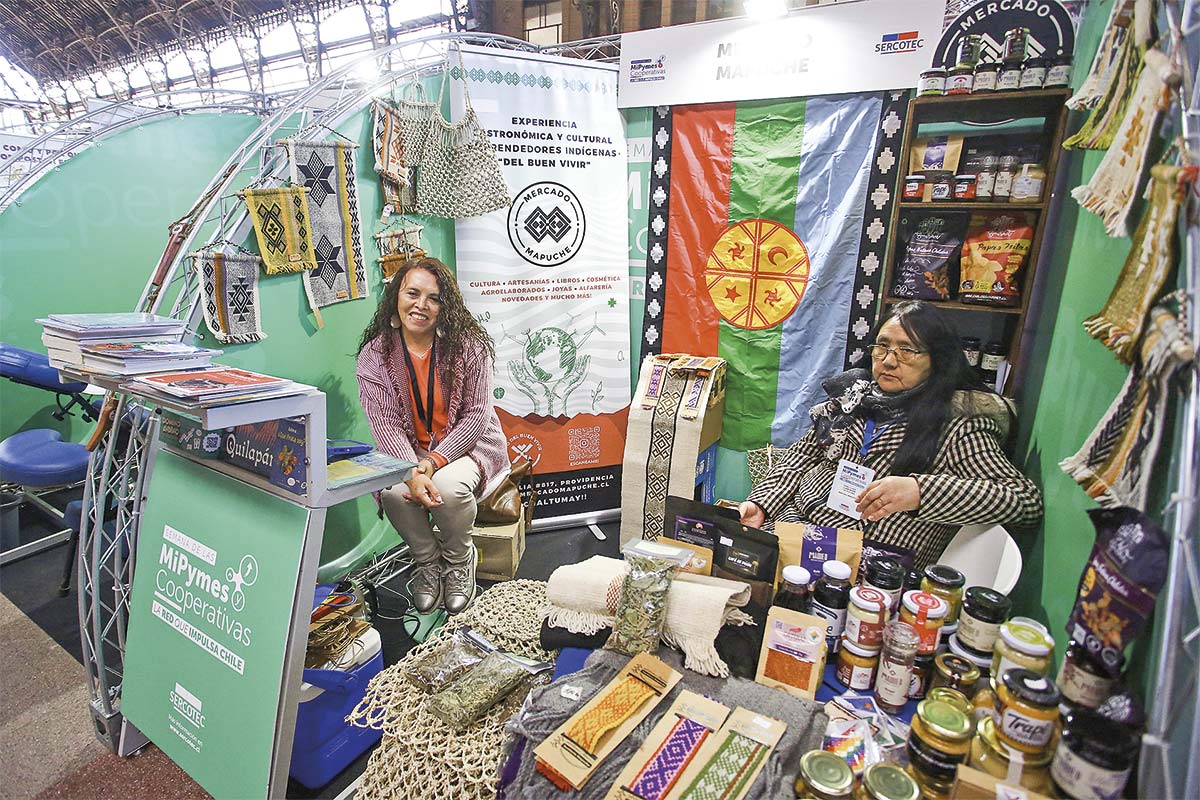 <p>Foto: Aton Chile</p>