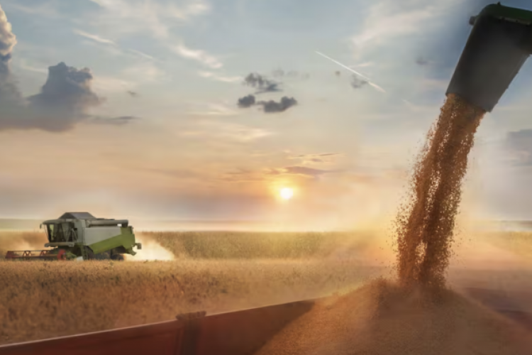 <p>Gobierno de Milei anuncia nueva baja de retenciones a las exportaciones del campo argentino</p>