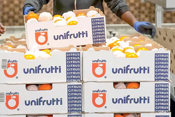 <p>Unifrutti vuelve a salir de compras y adquiere por US$ 150 millones frutícola peruana de capitales chilenos</p>