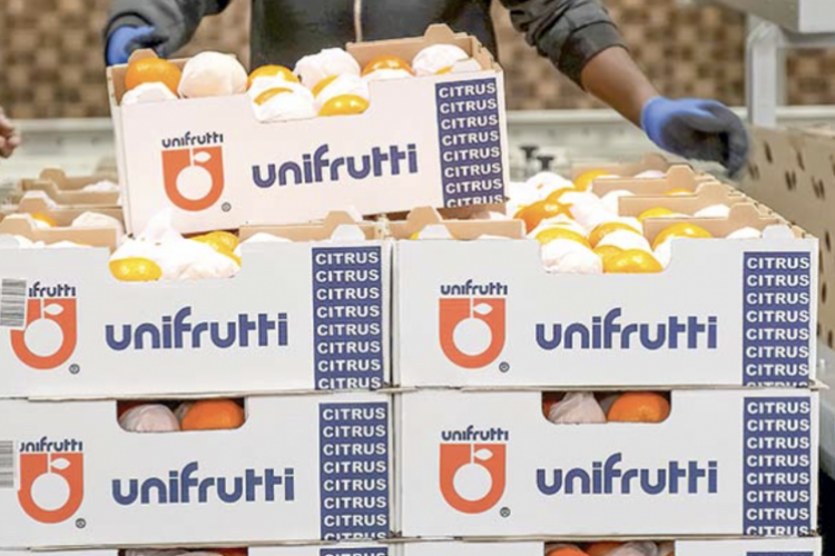 <p>Unifrutti vuelve a salir de compras y adquiere por US$ 150 millones frutícola peruana de capitales chilenos</p>