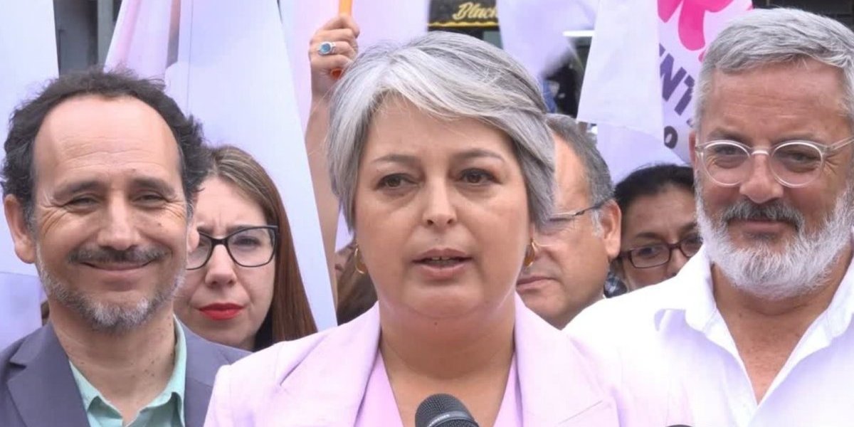 <p>Ahora en DF | Jara critica de nuevo propuesta de recorte fiscal de Kast: “Lo considero extremadamente grave”</p>