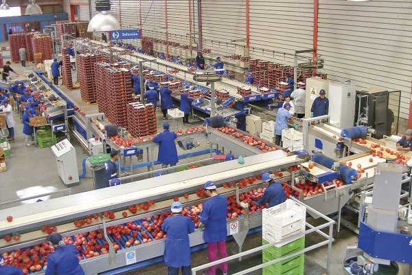 <p>Unifrutti vuelve a salir de compras y adquiere por US$ 150 millones frutícola peruana de capitales chilenos</p>