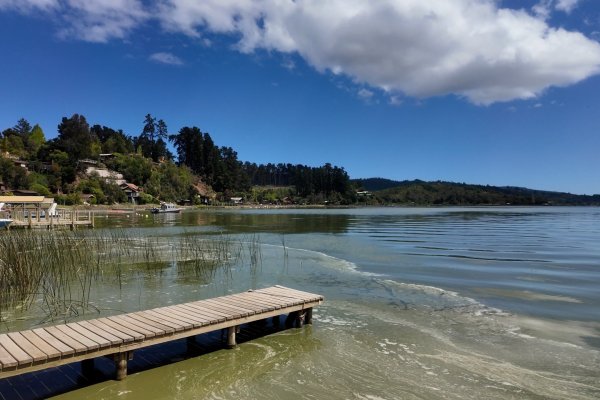 <p>Qué harán los tradicionales veraneantes de Vichuquén ante la crisis de contaminación del lago</p>