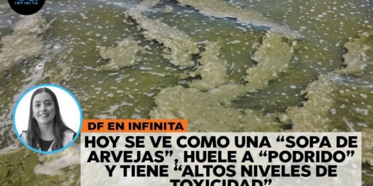 <p>DF en Infinita | Qué harán los tradicionales veraneantes de Vichuquén ante la crisis de contaminación del lago</p>