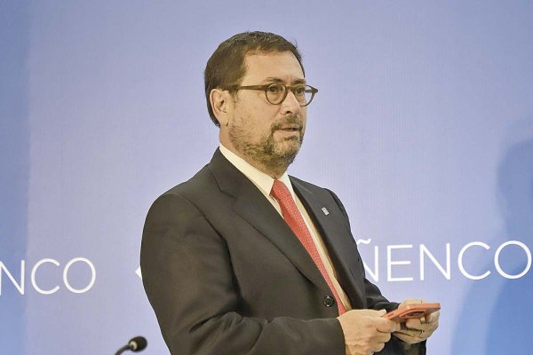 <p>Francisco Pérez Mackenna, CEO de Quiñenco. Foto: Julio Castro</p>