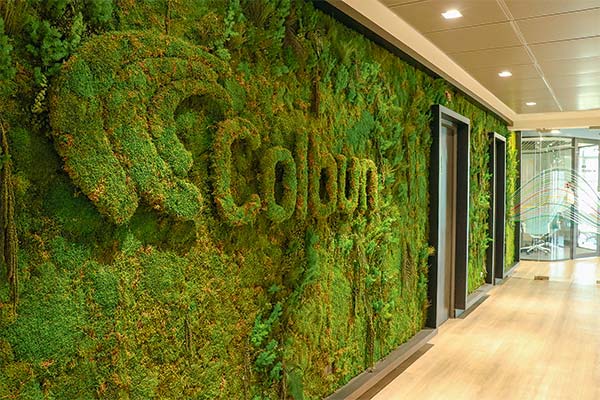 <p>Coeva de Biobío aprueba proyecto eólico Junquillos de Colbún que involucra casi US$ 600 millones</p>