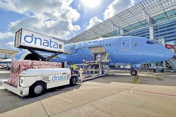 <p>Filial de Emirates Group negocia la adquisición de empresa de logística aeroportuaria chilena</p>