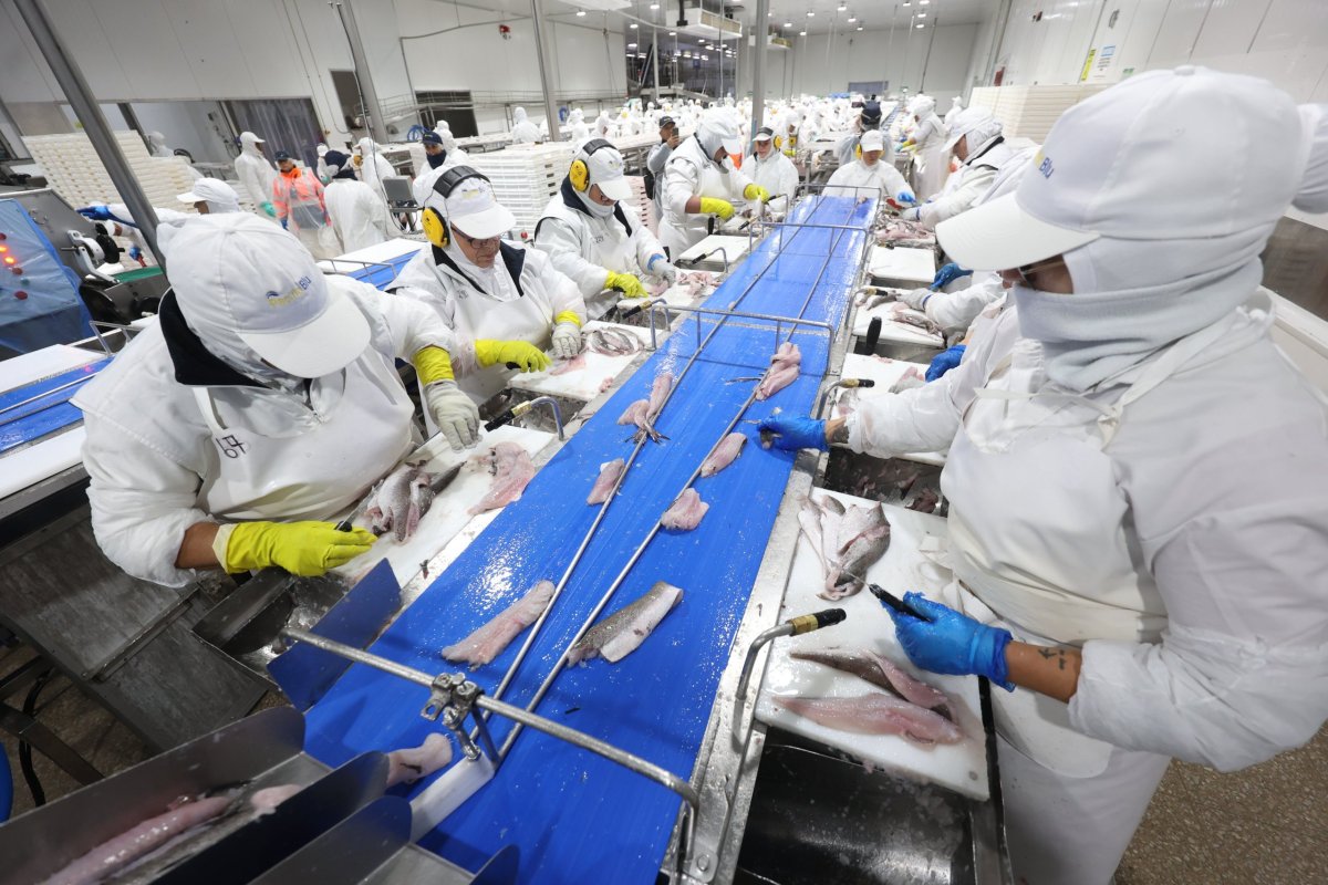 <p>Resurge polémica por Ley de Fraccionamiento Pesquero: industriales y artesanales piden a Contraloría impugnar apertura de registro a nuevos actores</p>