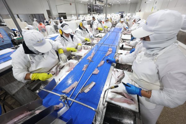 <p>Resurge polémica por Ley de Fraccionamiento Pesquero: industriales y artesanales piden a Contraloría impugnar apertura de registro a nuevos actores</p>