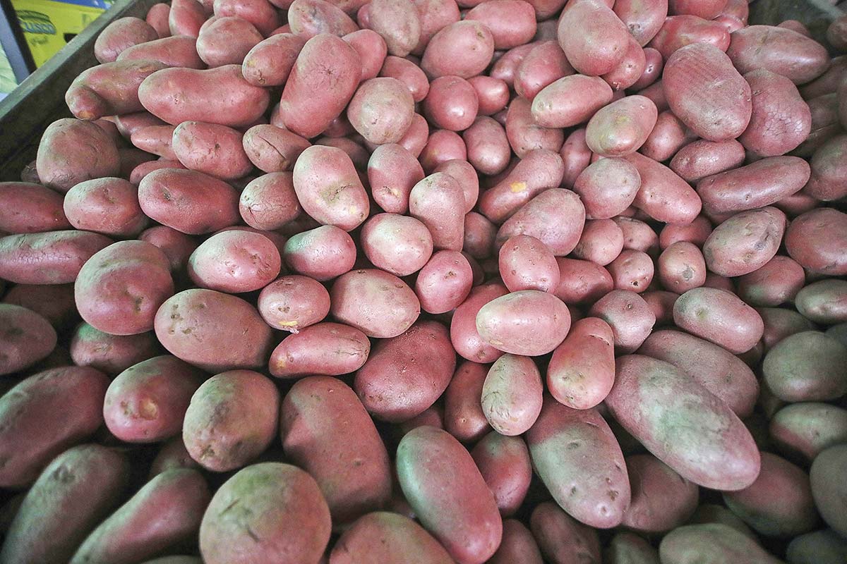 <p>Foto: Aton Chile</p>