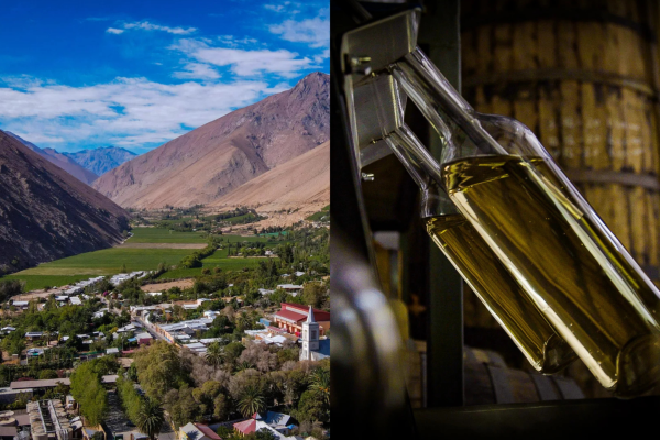 <p>Pisco Chile ficha al ingeniero Manuel Schneider para liderar nueva fase de expansión tras histórica gestión de Claudio Escobar</p>