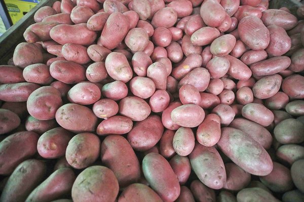 Fynsa ve margen para leve caída del IPC este mes y ve una inflación en 3,6% al cierre del año