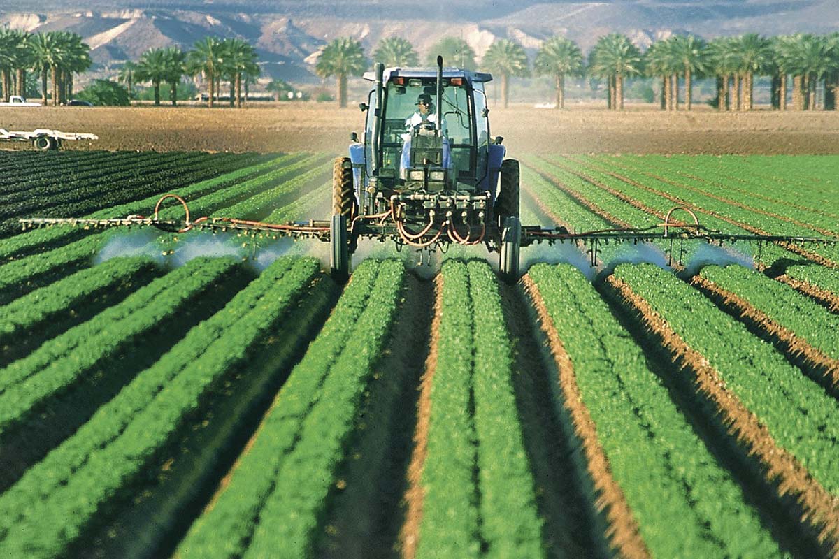 <p>Fondos de private equity extranjeros aumentan compras de empresas medianas chilenas</p>