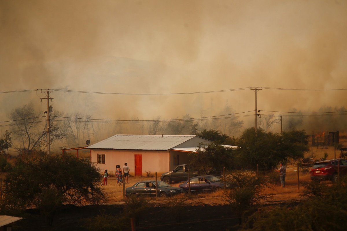 <p>Biobío declara Alerta Roja por calor extremo: condiciones son propicias para incendios forestales</p>