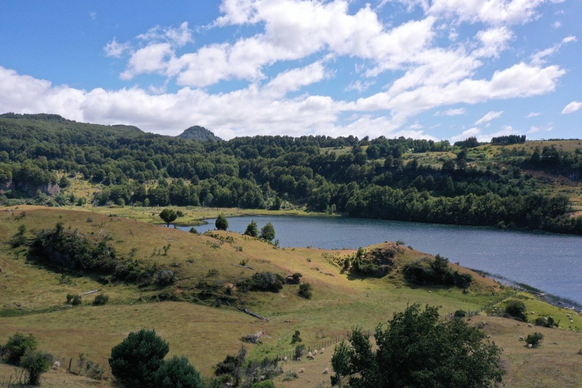 <p>“Coyhaique va a ser el próximo Puerto Varas”: fundador de Vida Patagonia proyecta alta plusvalía por auge inmobiliario en Aysén</p>