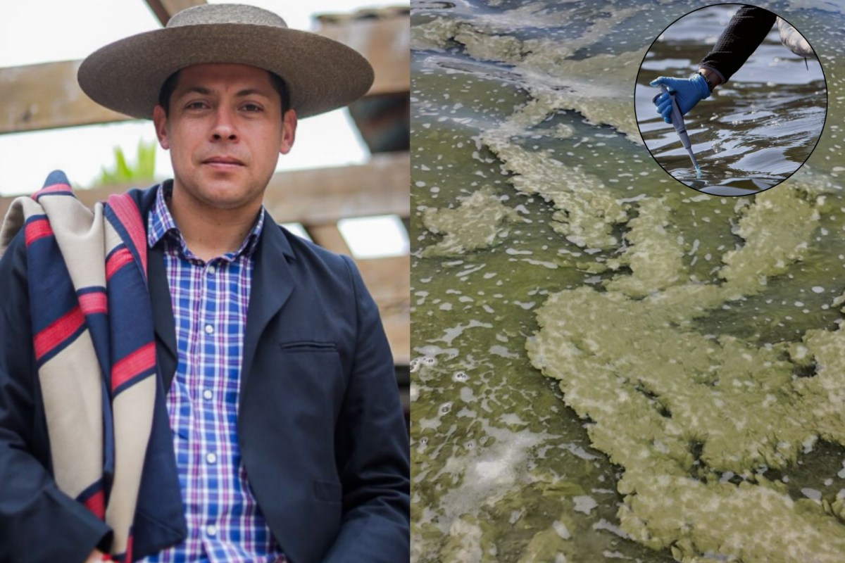 <p>Caos total en Vichuquén: exigen declarar zona de catástrofe por colapso ambiental del lago y Contraloría destituye a alcalde</p>