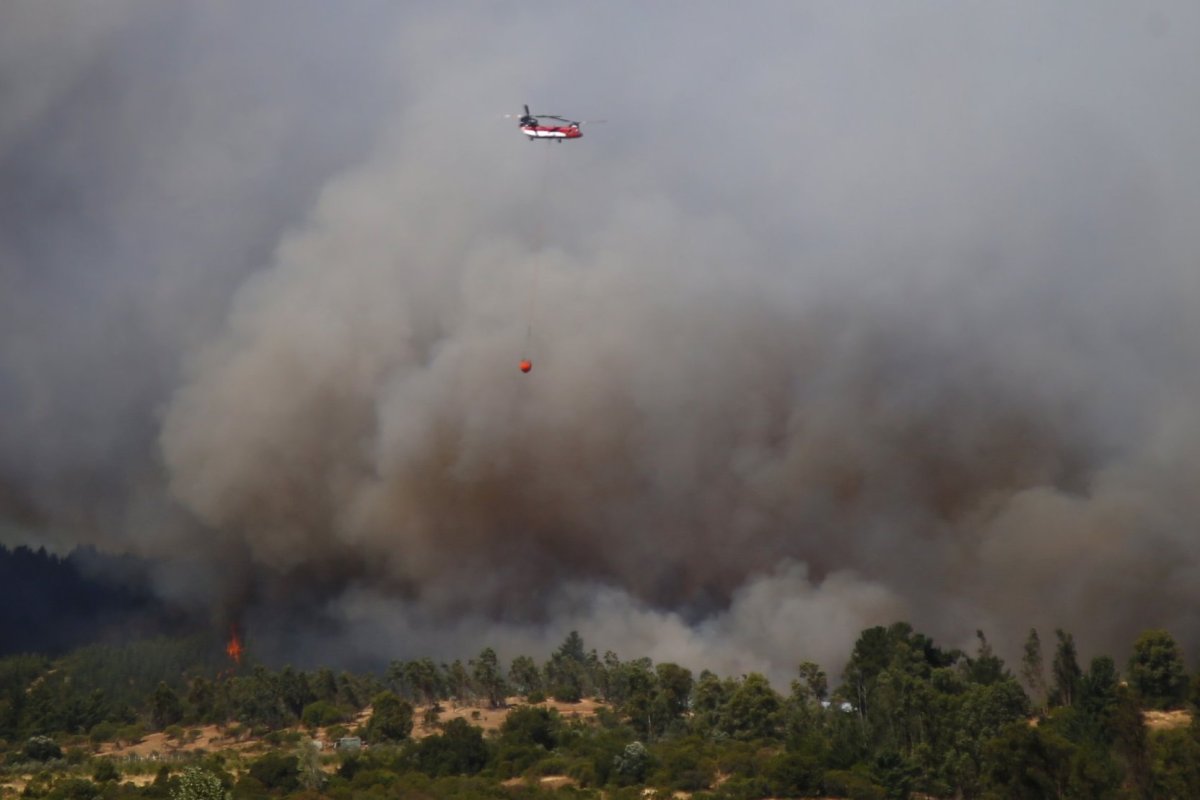 <p>Senapred decreta Alerta Roja en Mulchén y Tomé por incendios forestales con amenazas a viviendas</p>
