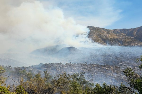 <p>@conaf_minagri</p>