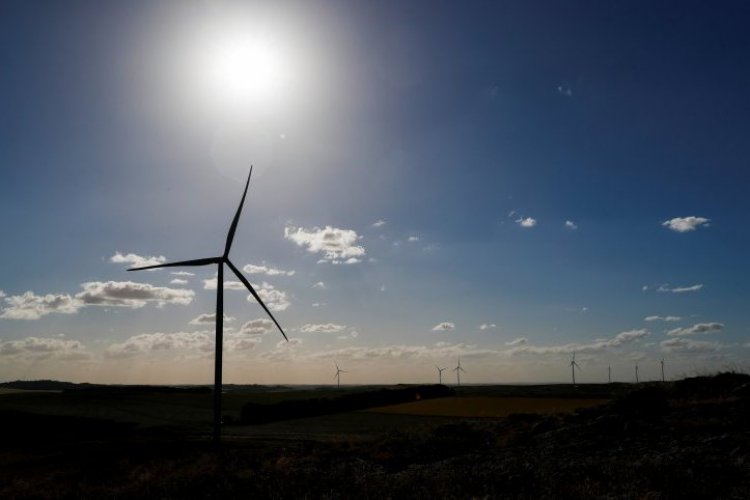 <p>Energética argentina Genneia inaugura parque solar tras inversión de US$ 180 millones</p>