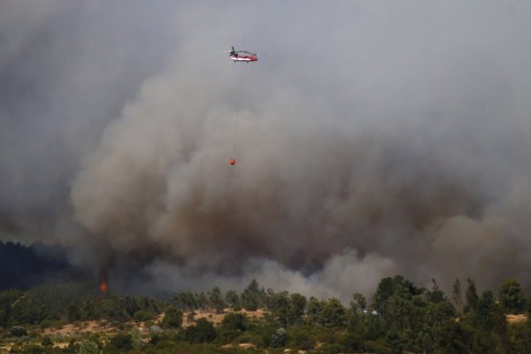 <p>Senapred decreta Alerta Roja en Mulchén y Tomé por incendios forestales con amenazas a viviendas</p>