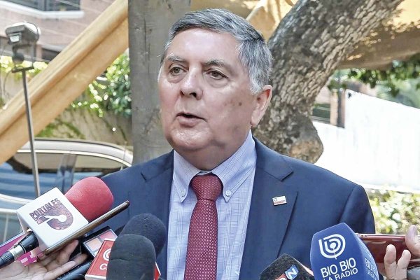 <p>Desde La Moneda Chica, Alvarado cuestionó el proyecto del Gobierno.</p>