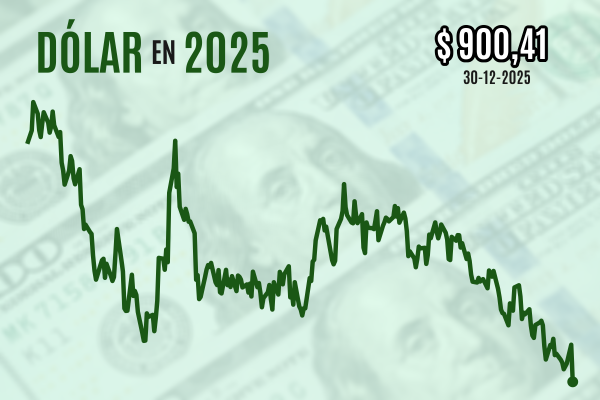 <p>Dólar se desploma a $ 900 y cierra con baja de casi $ 100 en el mejor año desde 2009 para el peso chileno</p>