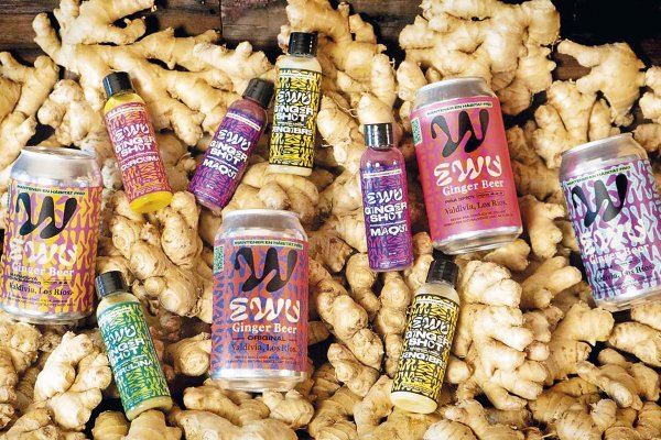 <p>Ewu Ginger, productora de bebidas de Valdivia, cierra el año con alza de 175% en facturación</p>