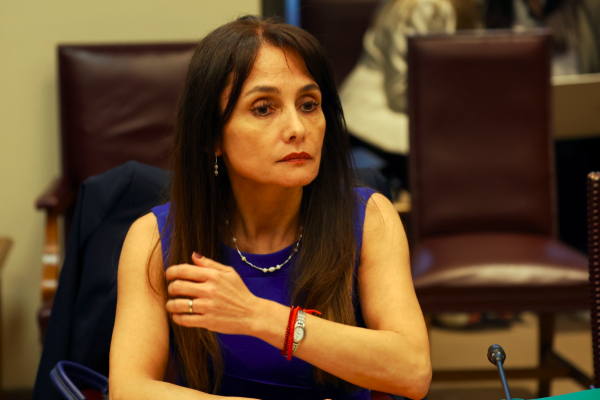 <p>Codelco designa exfiscal Marta Herrera como nueva gerenta de ética y cumplimiento</p>