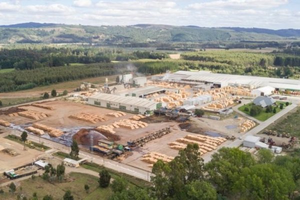 <p>Incendio en aserradero de Arauco, en Mariquina, obligó la evacuación de 130 trabajadores y la paralización de la planta</p>