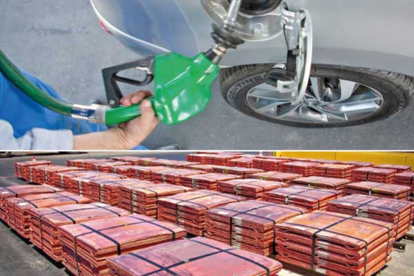 <p>Fotos: Archivo</p>