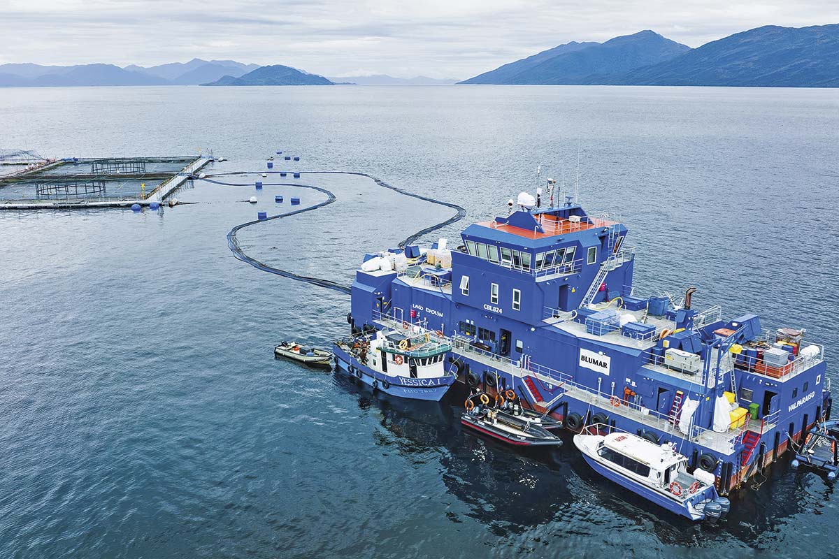 <p>Salmones Blumar busca aumentar a 19 mil toneladas su producción en Magallanes con la optimización de sus centros en Isla Riesco</p>