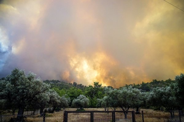 <p> Los últimos tres años han sido los más calurosos registrados, y los científicos advierten que el cambio climático está intensificando los fenómenos meteorológicos extremos.</p>
