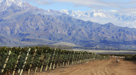 Inversiones, vino y turismo: tres proyectos de argentinos que están ganando terreno
