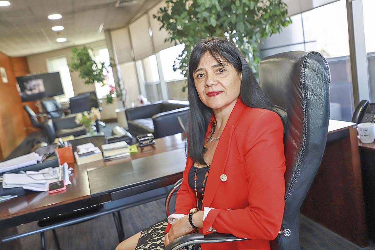 <p>Marta Cabeza, superintendenta de Electricidad y Combustibles.</p>