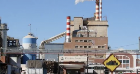 La "nueva Celulosa" en Argentina arrancó con pérdidas de más de US$ 67 millones