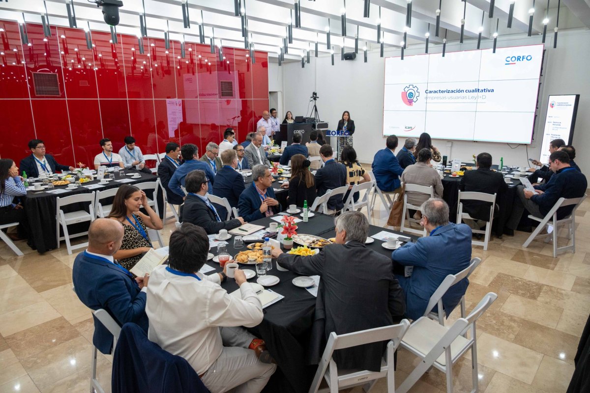 <p>Jocelyn Olivari, presentando el Balance de Ley I+D 2025.</p>