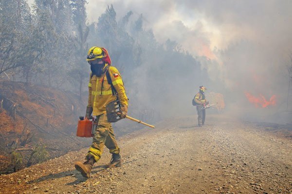 ¿Qué es y cuánto cuesta un seguro paramétrico? La póliza que cubre los mega incendios