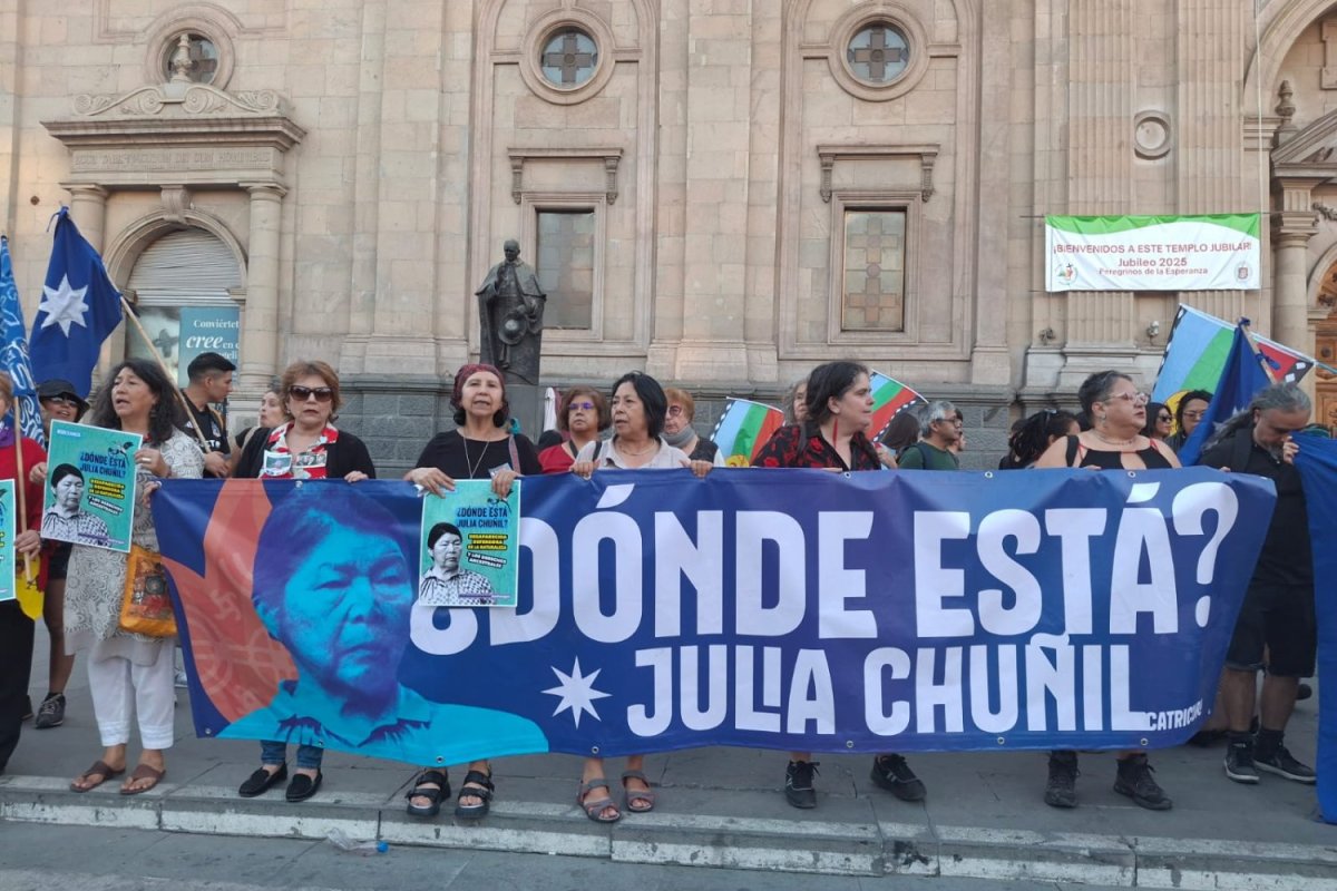 <p>La ONG que la convirtió en activista, el inexistente perro Cholito y otras claves: el vuelco del caso Julia Chuñil</p>