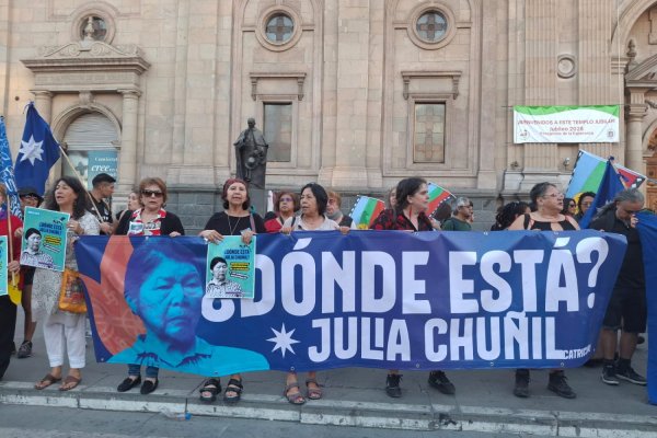 <p>La ONG que la convirtió en activista, el inexistente perro Cholito y otras claves: el vuelco del caso Julia Chuñil</p>