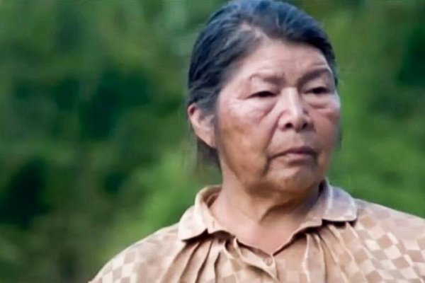 <p>La ONG que la convirtió en activista, el inexistente perro Cholito y otras claves: el vuelco del caso Julia Chuñil</p>