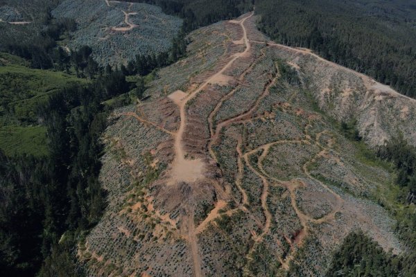 <p>Minera Aclara sale a rechazar rumores que vinculan al proyecto con origen de incendios forestales en Penco</p>