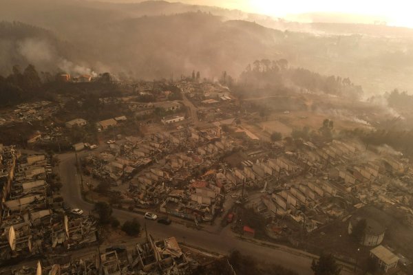 <p>Foto: Aton Chile</p>